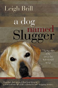 A Dog Named Slugger - 200x300x72