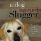 A Dog Named Slugger 